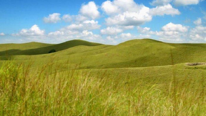 Taman Nasional Rawa Aopa Watumohai Sulawesi Tenggara