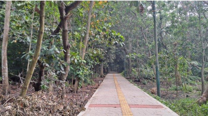 Hutan Kota Srengseng, Jakarta Barat, di Jalan H. Kelik, Kecamatan Kembangan, Jakarta Barat.