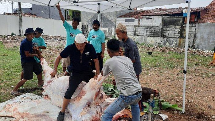 Masjid Al Muhajirin Tanah Tinggi Kota Tangerang menggelar salat Iduladha sekaligus pemotongan hewan kurban pada Sabtu (9/7/2022)