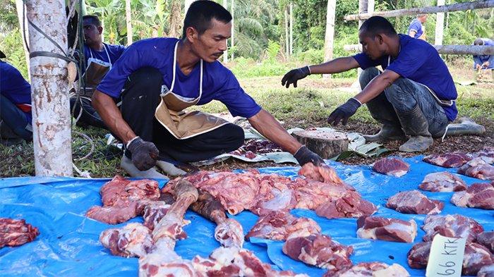 paket daging kurban lembaga amal asal Prancis bekerja sama dengan YKMI