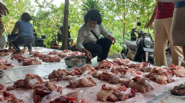tradisi mepatung untuk mendapatkan daging babi.
