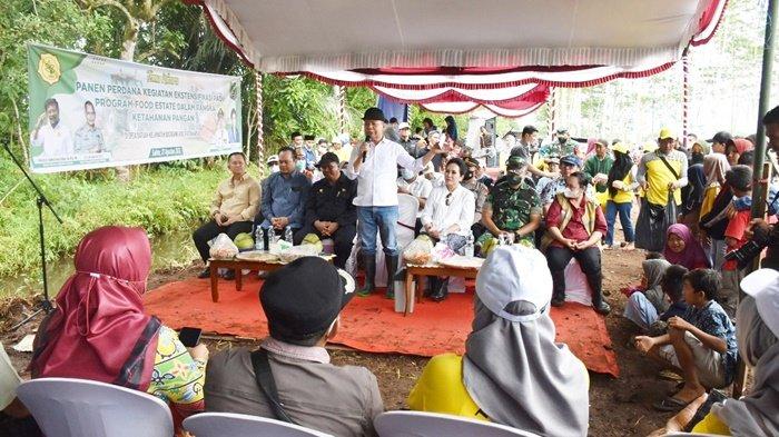 Bupati Kapuas Ben Brahim S Bahat beri sambutan usai melakukan panen perdana Sabtu (27082022).