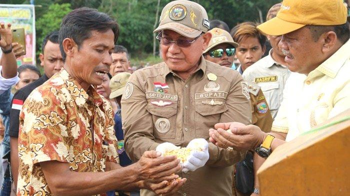 Bupati bUPATi Sayed dapat penjelasan tentang jagung hasil panen petani dI Desa Peramasan 2x9.