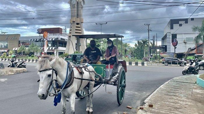 Naik Delman di Taman Van der Pijl Banjarbaru