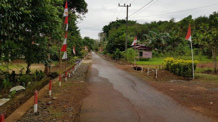 Lingkungan jalan permukiman di Desa Alur yang asri dan rapi.