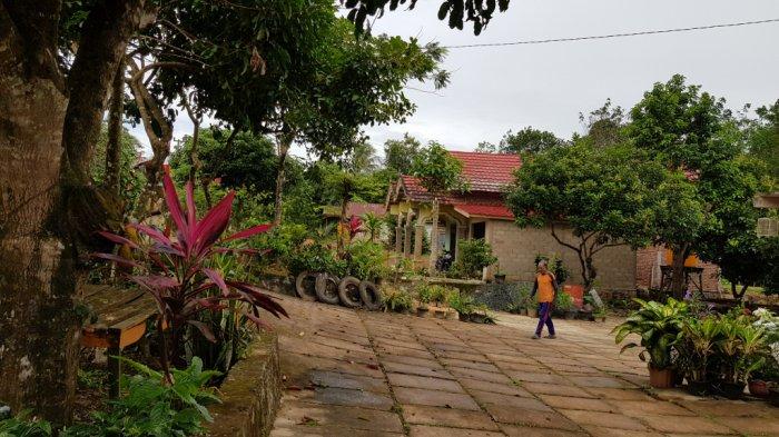 Suasana permukiman di Desa Alur Kecamatan Jorong.