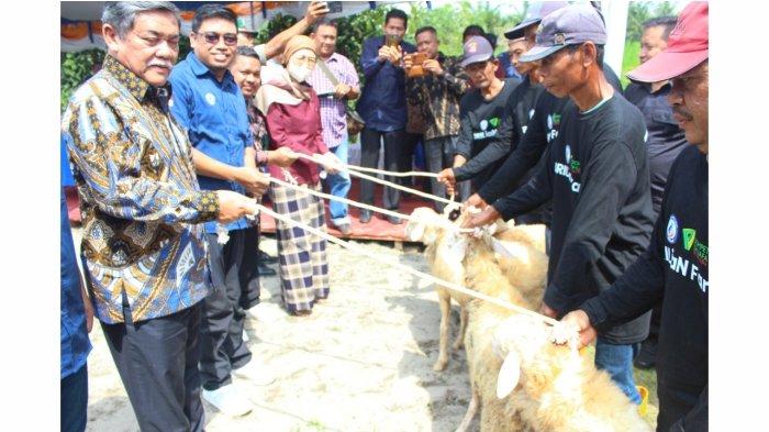 3 Wakil Bupati Deli Serdang Kolaborasi YBM BRILiaN dengan Dompet Dhuafa Waspada