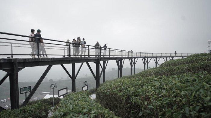 Nimo Highland Pangalengan 2