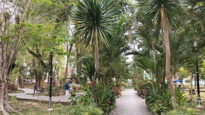 Pepohonan Taman Remaja Kota Jambi