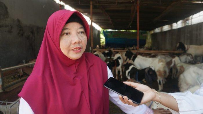 Ilena Palupi edukasi daging kurban wabah pmk pekalongan