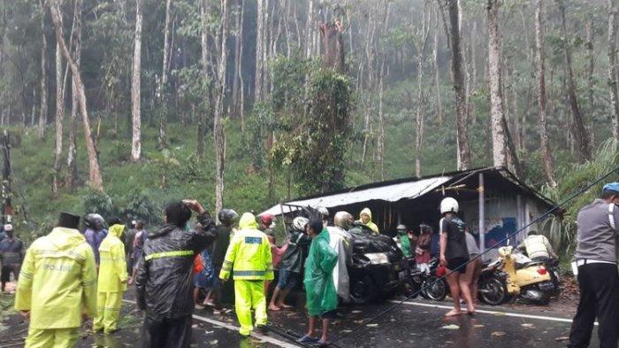 Proses evakuasi mobil pikap yang tertimpa pohon tumbang