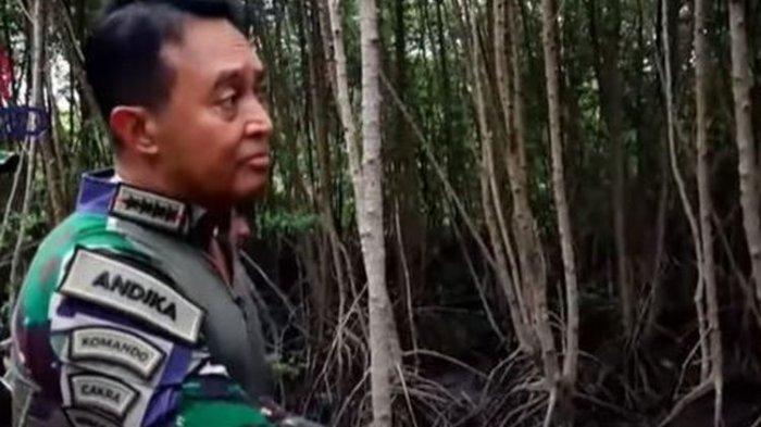 prajurit yang bersembunyi di balik semak-semak hutan mangrove