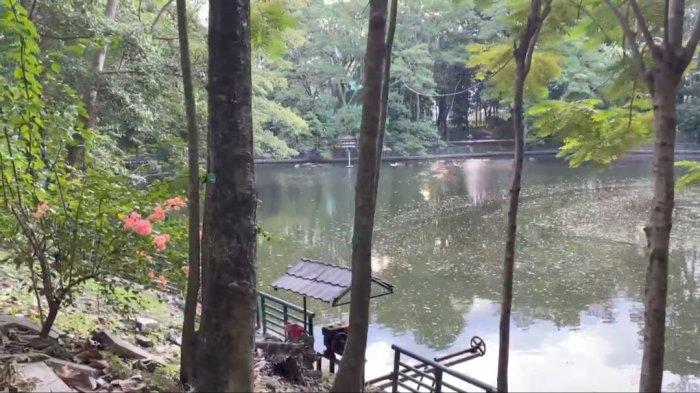 Wisdom Park UGM Alam