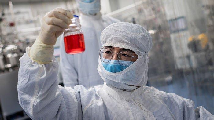 Seorang insinyur melihat sel-sel ginjal monyet ketika dia melakukan tes pada vaksin eksperimental untuk virus corona COVID-19 di dalam laboratorium Ruang Budaya Sel di fasilitas Biotek Sinovac di Beijing. Sinovac Biotech sedang melakukan satu dari lima uji klinis vaksin potensial yang telah disahkan di Cina