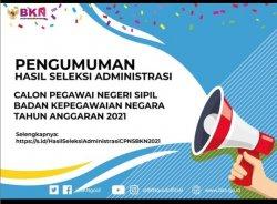 740.668 Pelamar Tidak Memenuhi Syarat CPNS dan PPPK 2021