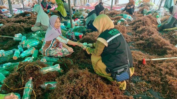 Donasi Peduli Cianjur 01 03122022