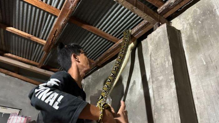 ulshfkjfk