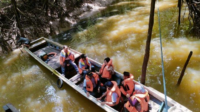 amsi mangrove