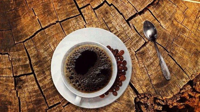 Manfaat Minum Kopi yang Belum Banyak Orang Tahu Disaat Pandemi Agar Tetap Produktif dan Berenergi