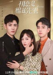 Sinopsis Drama China Terbaru Mr Durian dan Tayang di WeTV, Kisah Cinta Diam-diam