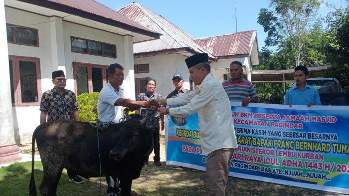 Bupati Franc Tumanggor bagikan Hewan Qurban