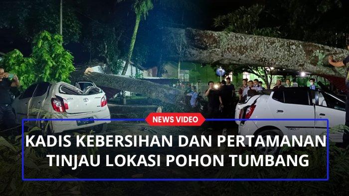 Kadis Kebersihan dan Pertamanan Kota Medan Tinjau lokasi pohon tumbang di RSUP H Adam Malik