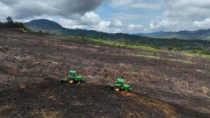 Pengerjaan Lahan Food Estate Pakpak Bharat Dikebut