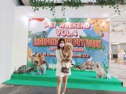 Berfoto dengan Reptil di Pet Weekend di Cambridge City Square Medan