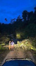 Pohon tumbang di jalan Pakpak Bharat