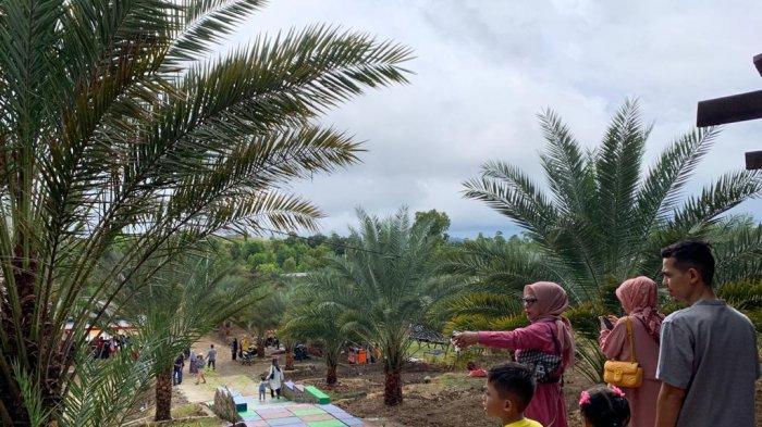 Wisatawan mengunjungi destinasi objek wisata kebun kurma yang berada di kabupaten Aceh Besar.