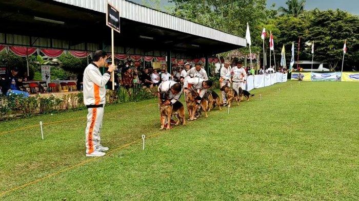 Anjing Gembala Jerman saat kontes IGSC