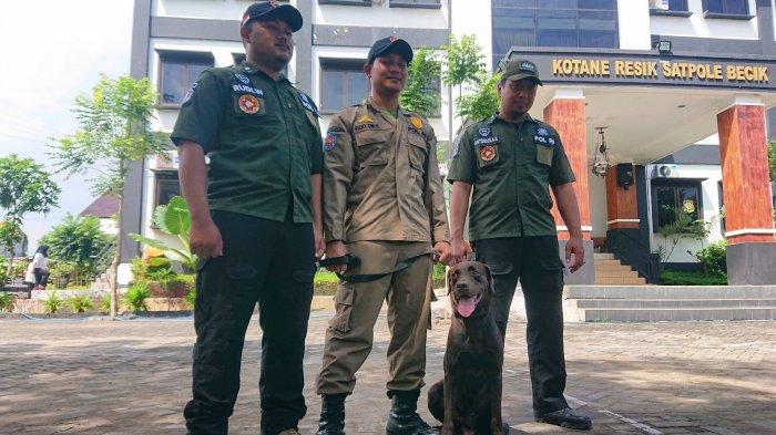 Coco anjing K9 Satpol PP Kota Semarang bersama Unit PBA