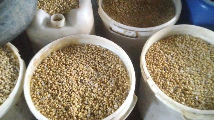 Stok kedelai di tempat perajin tahu di Kudus yang siap produksi.