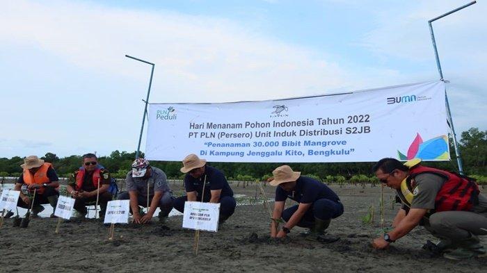 Peduli Ekosistem Kelautan dan Lingkungan Hidup, PLN UID S2JB tebar 30.000 bibit Mangrove