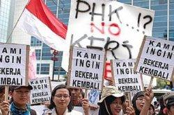 Pemerintah Tidak Berdaulad Terhadap Investor China Masalah Tenaga Kerja Asing