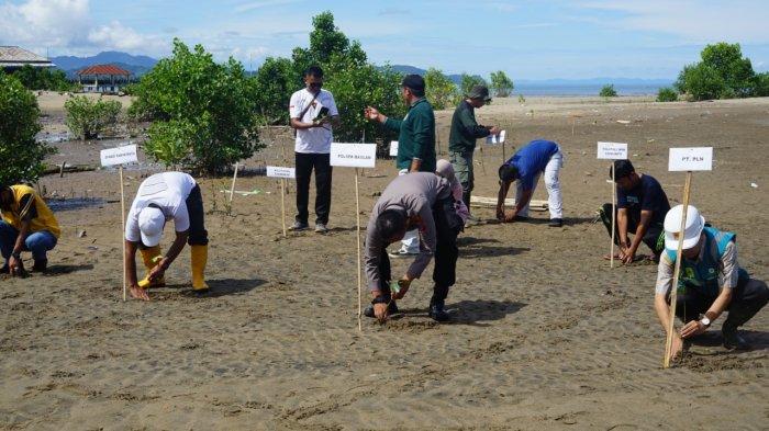 PLN tanam pohon 2022