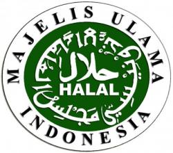 MUI Akan Awasi Aplikasi Berkonten Islami