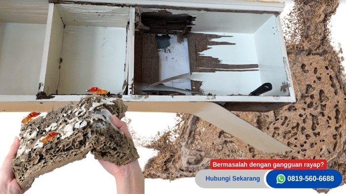 DokumenWASPADA!!! INDONESIA SURGA BAGI HAMA RAYAP 1