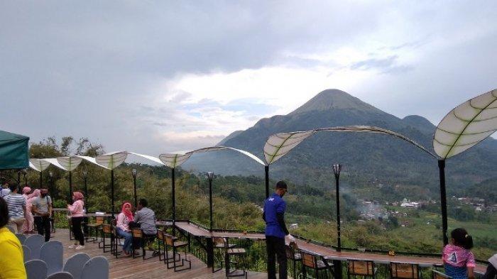 jungle Cafe menyatu dengan alam pegunungan