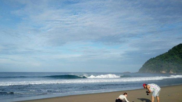 Pantai Sukamade yang juga kawasan konservasi penyu