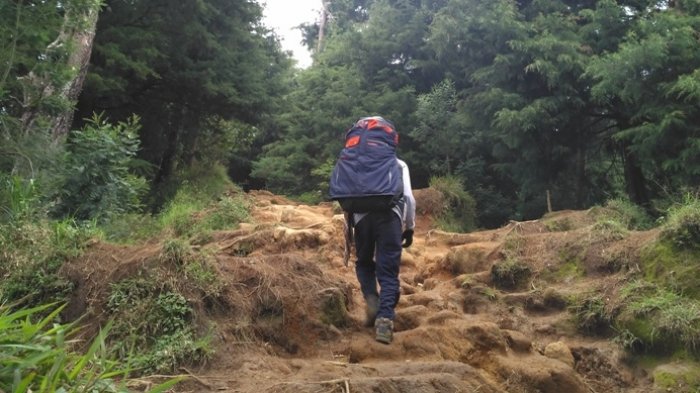 Seorang pendaki mendaki Gunung Prau via basecamp Patakbanteng, Dieng, Wonosobo, Sabtu (30/12/2017).