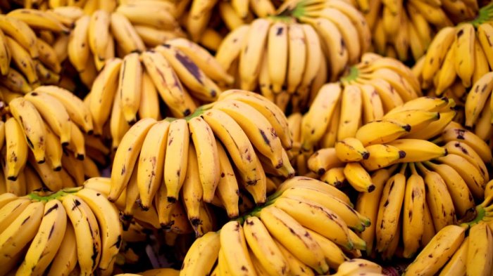 Ilustrasi pisang