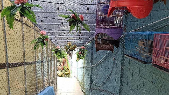 Jalan menuju Bober Backyard yang tersembunyi. Kafe ini terletak di Jalan Bojongkoneng Atas, Bandung