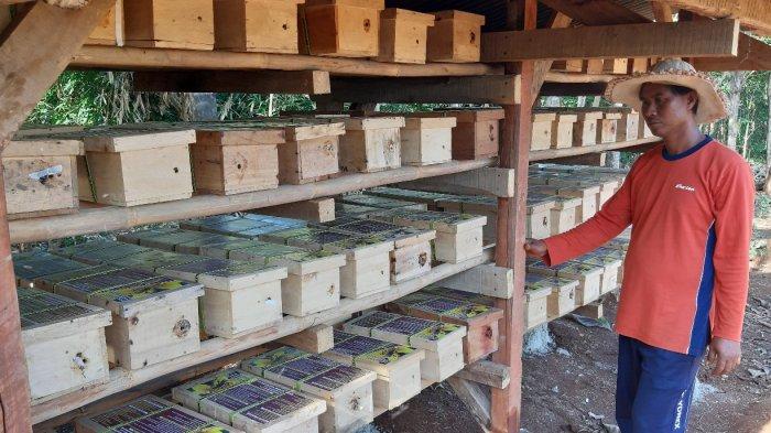 Peternakan lebah yang dikelola masyarakat di tepi proyek Bendungan Sadawarna, Desa Tanjung, Kecamatan Surian, Kabupaten Sumedang