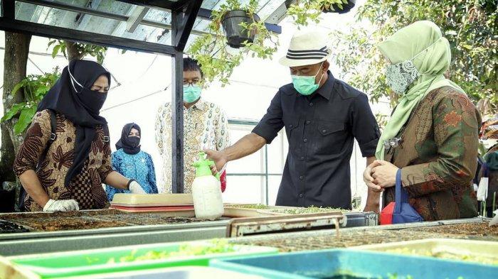 Aktivitas Bupati Subang, Ruhimat saat berkunjung ke pusat pembibitan tanaman