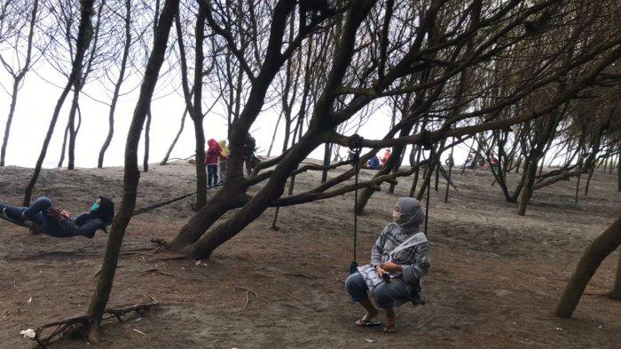 Menikmati suasana Pantai Cemara Sewu di Kabupaten Bantul.
