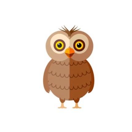 tes kepribadian - burung hantu