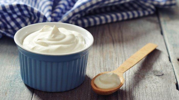 Yogurt
