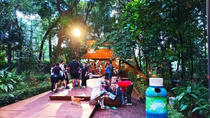 Arborea Cafe