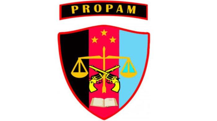 Divisi-Profesi-dan-Pengamanan-111.jpg